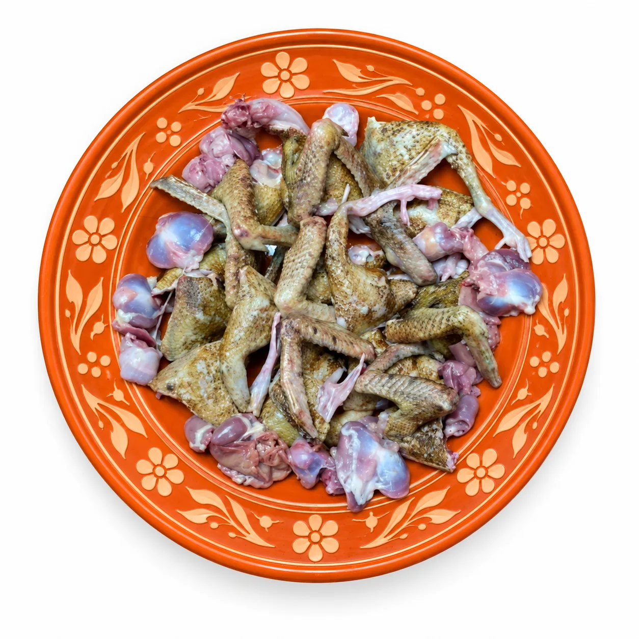 কবুতরের বাচ্চা